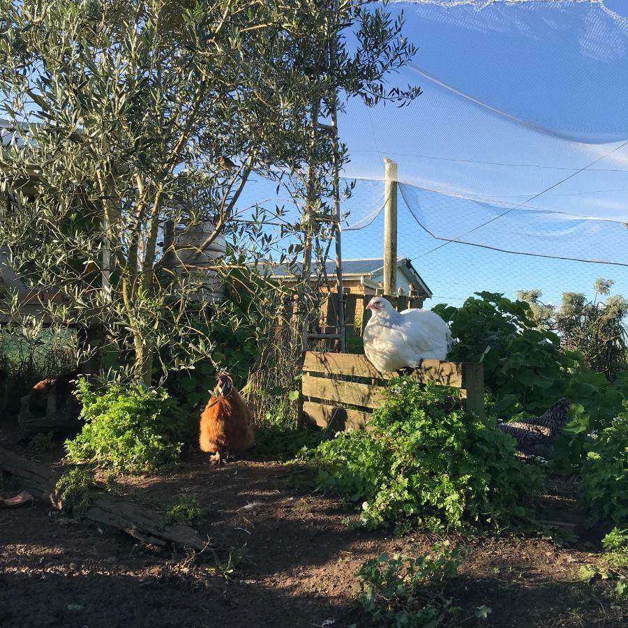 Langleys Port Campbell Hobby Farm 아파트 외부 사진