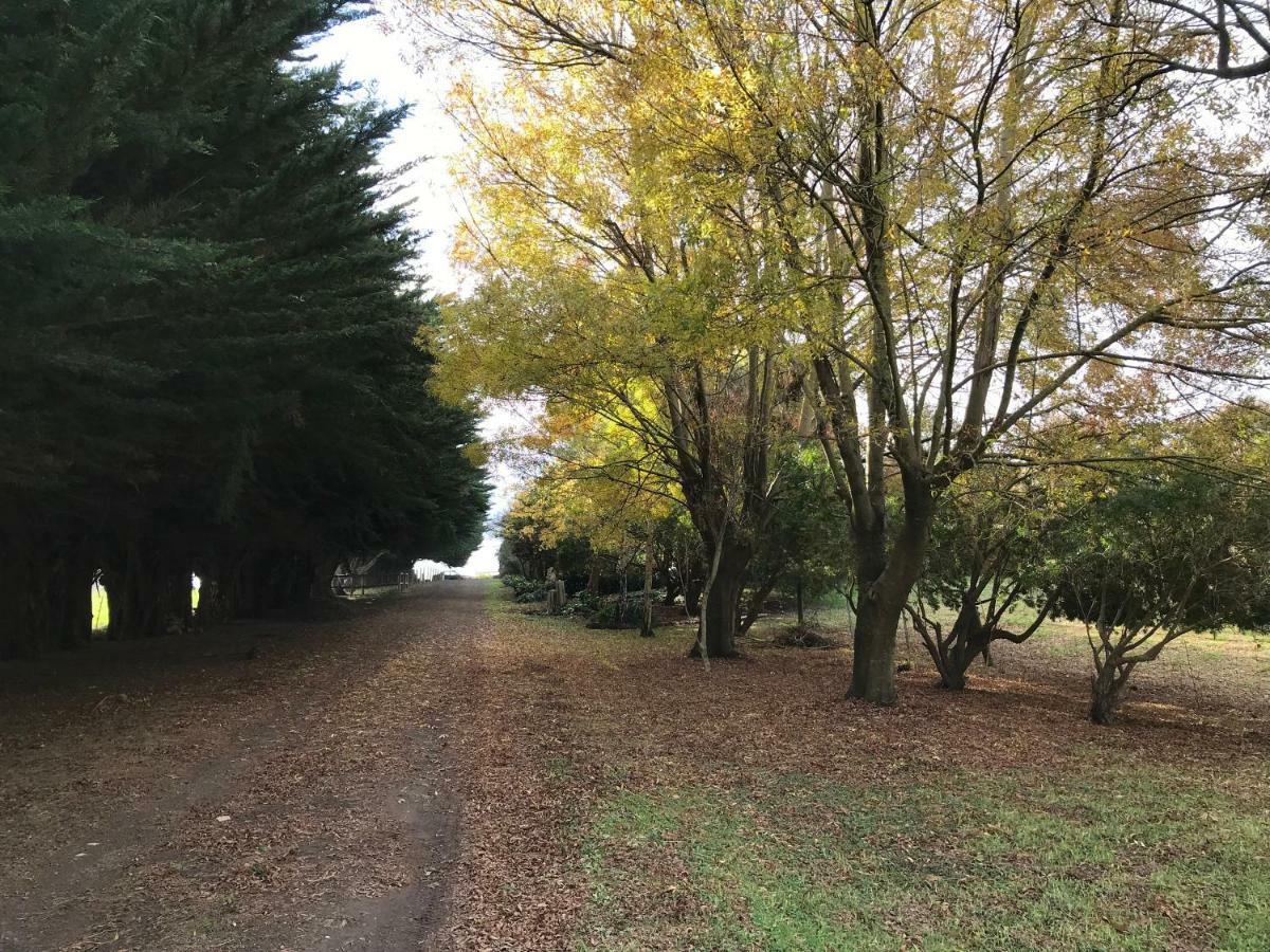 Langleys Port Campbell Hobby Farm 아파트 외부 사진