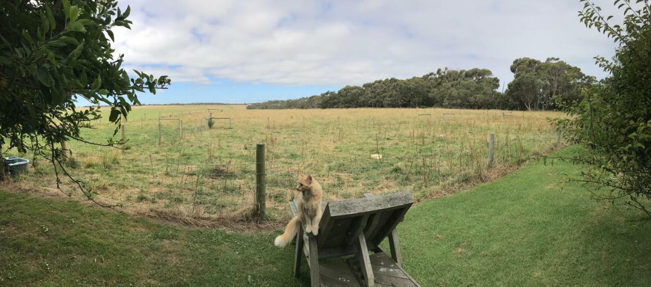 Langleys Port Campbell Hobby Farm 아파트 외부 사진